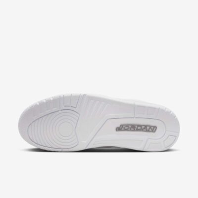 Jordan 3 Retro Pure Money (2025)