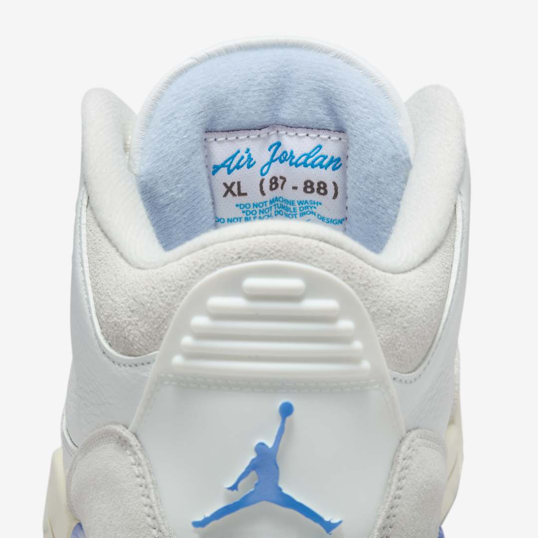 Jordan 3 Retro Lucky Shorts